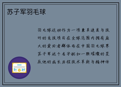 苏子军羽毛球