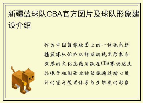 新疆蓝球队CBA官方图片及球队形象建设介绍