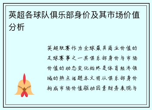 英超各球队俱乐部身价及其市场价值分析